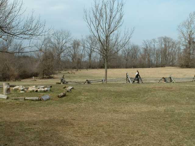 Valley Forge deer