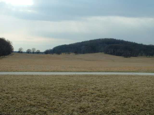 Valley Forge deer